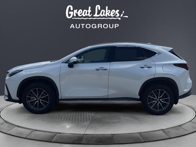 2024 Lexus NX 350h Premium