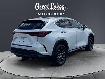 2024 Lexus NX 350h Premium