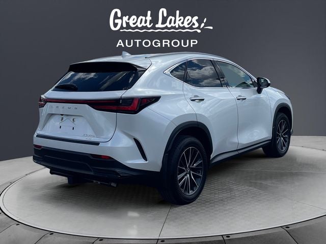 2024 Lexus NX 350h Premium