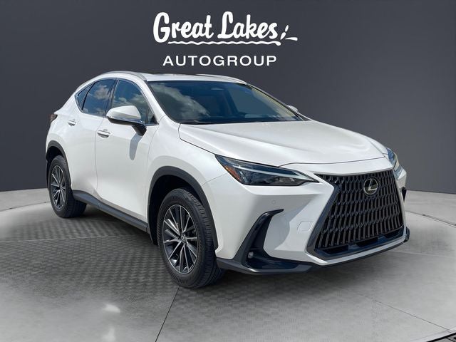 2024 Lexus NX 350h Premium