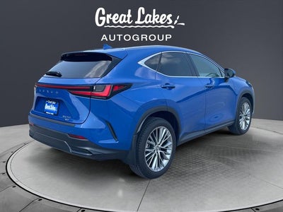 2024 Lexus NX 350 Luxury