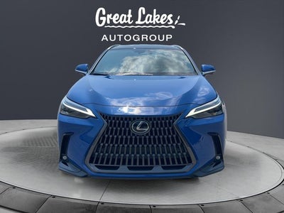2024 Lexus NX 350 Luxury