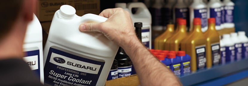 Picture of Subaru Super Coolant. | Great Lakes Subaru in Findlay OH