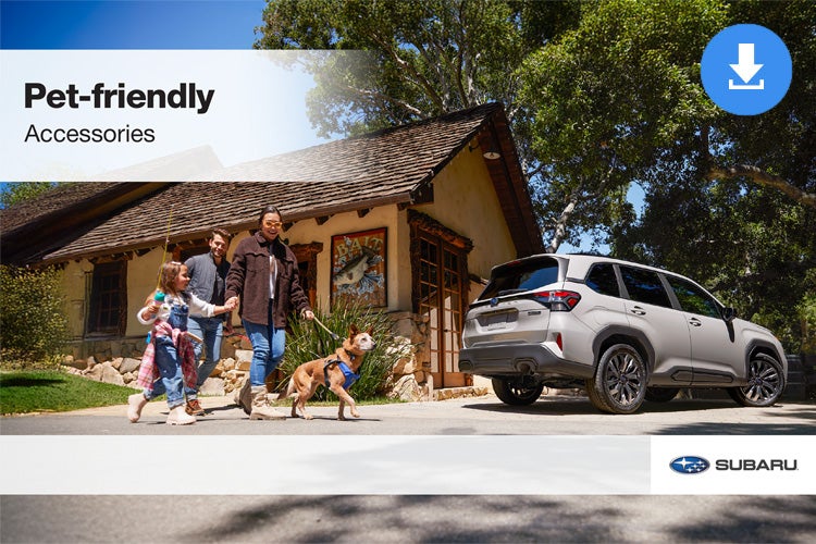 Great Lakes Subaru in Findlay OH
