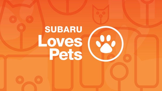 Great Lakes Subaru in Findlay OH