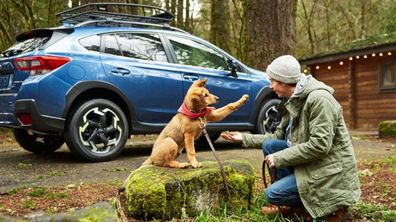 Great Lakes Subaru in Findlay OH