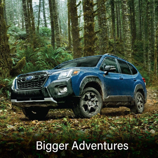 A blue Subaru outback wilderness with the words &ldquo;Bigger Adventures&ldquo;. | Great Lakes Subaru in Findlay OH