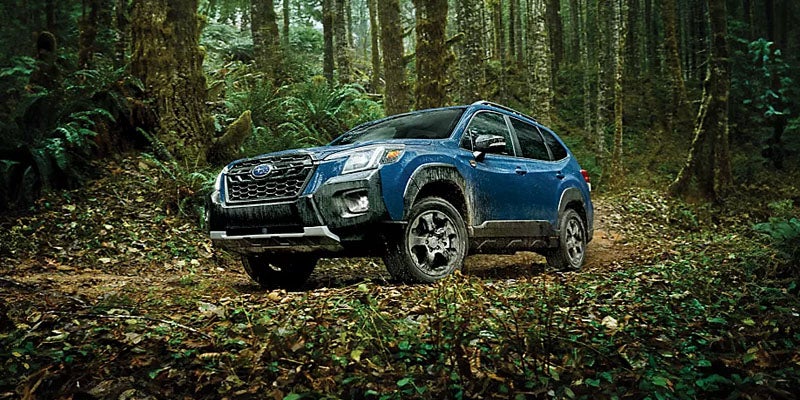 Blue Subaru SUV driving on forest road